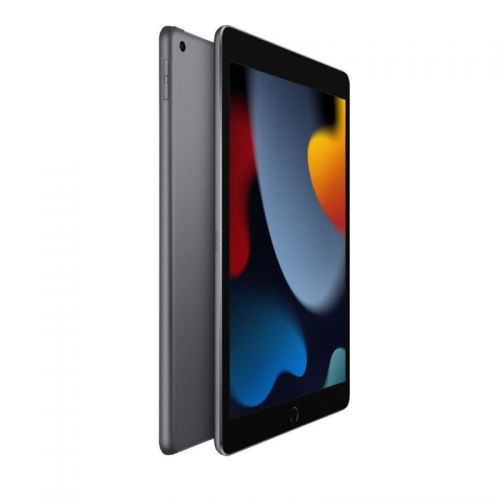 Apple 2021 iPad (10.2-inch, Wi-Fi, 64GB) - Space Grey (9th Generation)