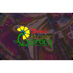 Dubai Miracle Garden Dubai Miracle Garden