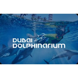 Swimming with Dolphin: Deep Water 20 Mins Swimming with Dolphin: Deep Water 20 Mins
