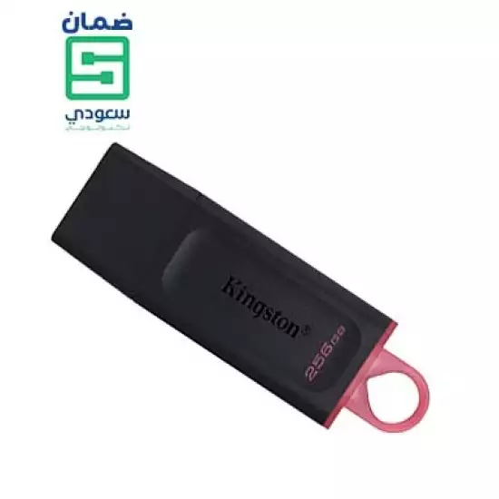 Kingston DataTraveler Exodia 256GB USB 3.2 Flash Drive DTX/256GB Kingston DataTraveler Exodia 256GB USB 3.2 Flash Drive DTX/256GB