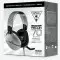 Turtle Beach  Recon 70 Silver Headset (Used)