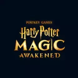 Harry Potter Magic Awakened