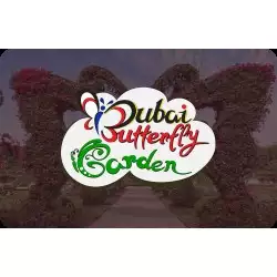 Dubai Butterfly Garden