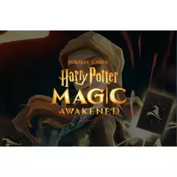 Harry Potter Magic Awakened Gift Card USD 9.99 Harry Potter Magic Awakened Gift Card USD 9.99