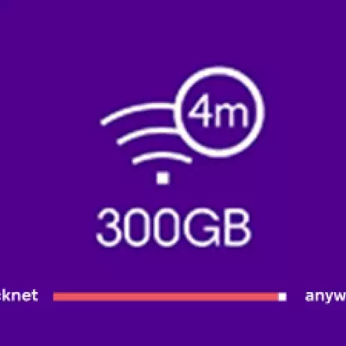 QuickNet 300GB 4M