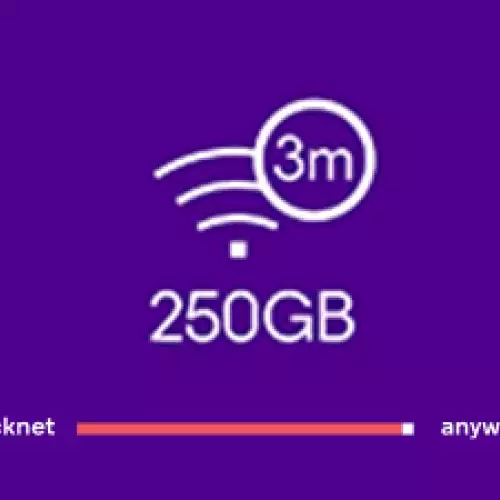 QuickNet 250GB 3M