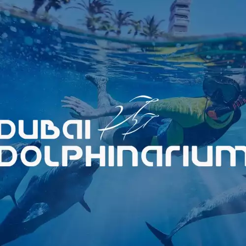 Swimming with Dolphin: Deep Water 20 Mins 