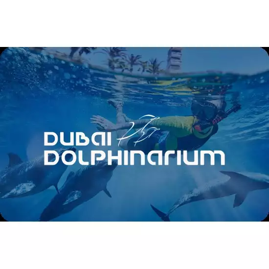 Swimming with Dolphin: Deep Water 20 Mins Swimming with Dolphin: Deep Water 20 Mins