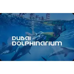 Swimming with Dolphin:Shallow Water 20 mins