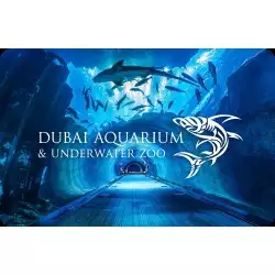 Cage Snorkeling (1 hour)