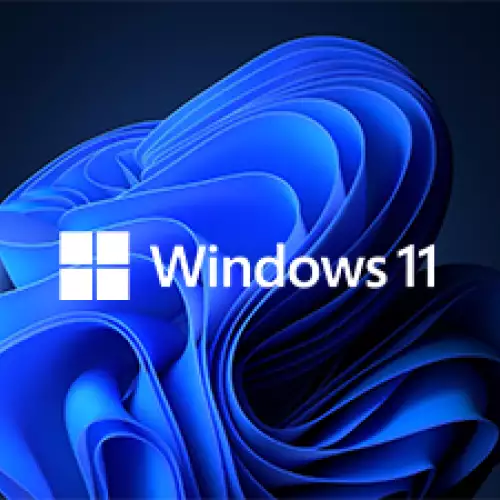 Microsoft Windows 11 Pro Gift Cards