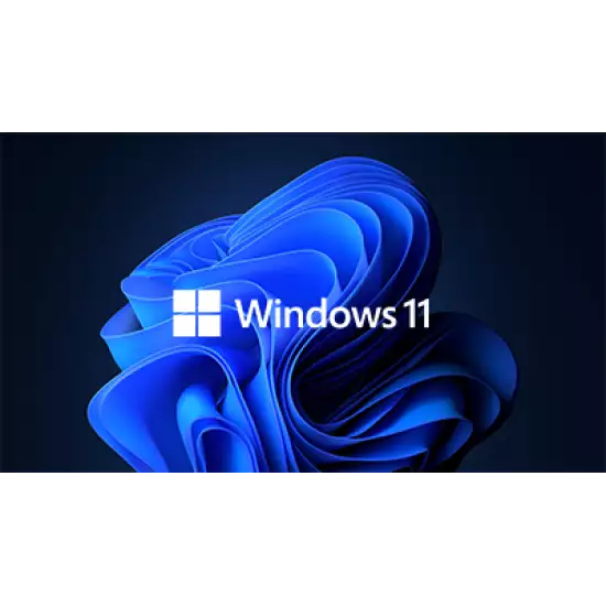 Microsoft Windows 11 Pro Gift Cards Microsoft Windows 11 Pro Gift Cards