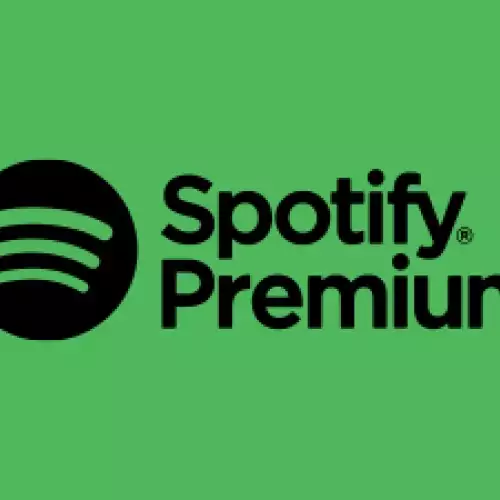 SPOTIFY USA - 12 Months 