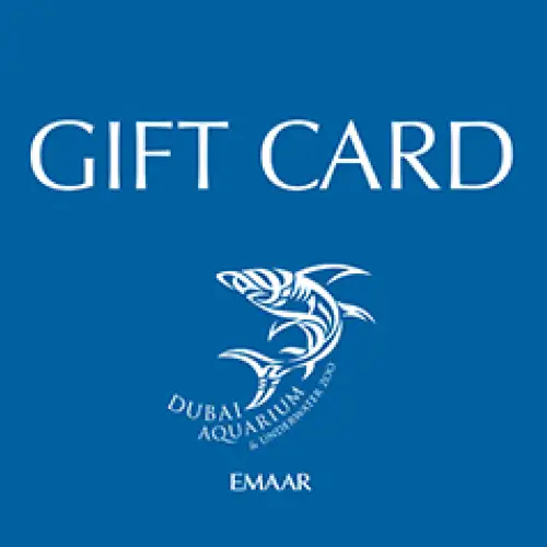 Dubai Aquarium & Underwater Zoo- 100 AED