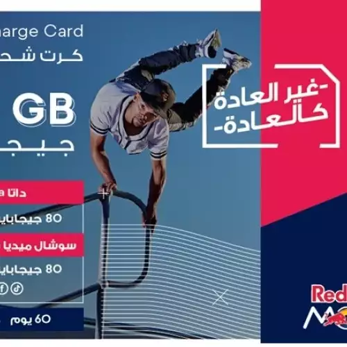 Red Bull  80GB+80GB 2M
