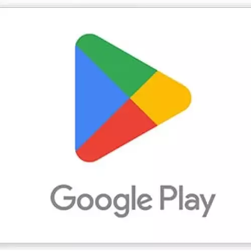 Google Play  250  TL