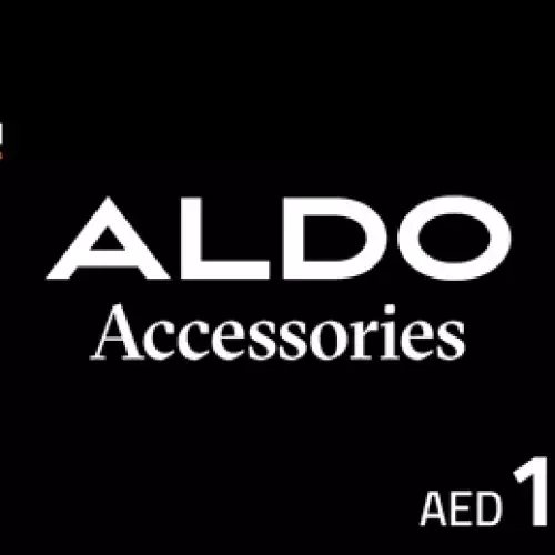ALDO ACCESSORIES - 100 AED 
