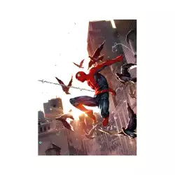 SPIDER MAN Poster