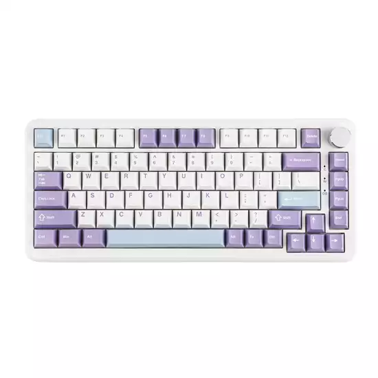 AJAZZ AK820 Max HE 75% Gasket-mounted Mechanical Keyboard With Magnetic Switch White Purple