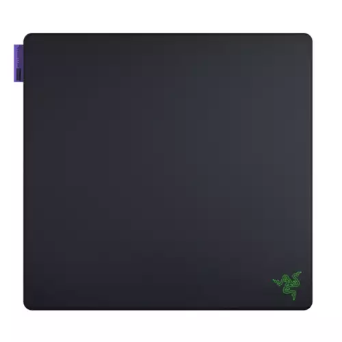 Razer Gigantus V2 Pro Large Gaming Mouse Pad Max Control - Black | RZ02-05490100-R3M1
