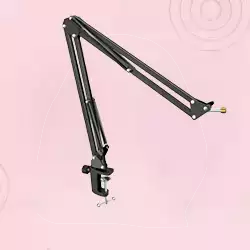 Stand Microphones